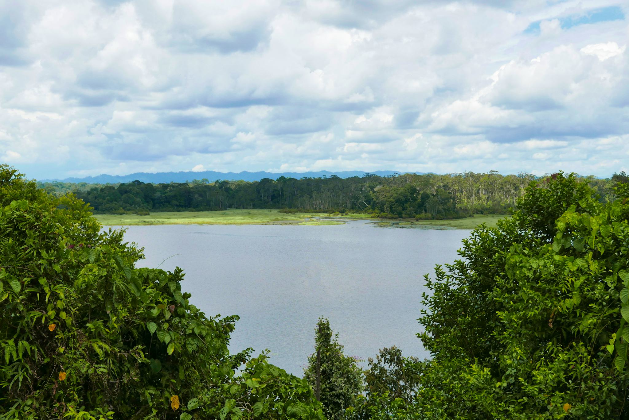 Taman Warisan Tasek Merimbun