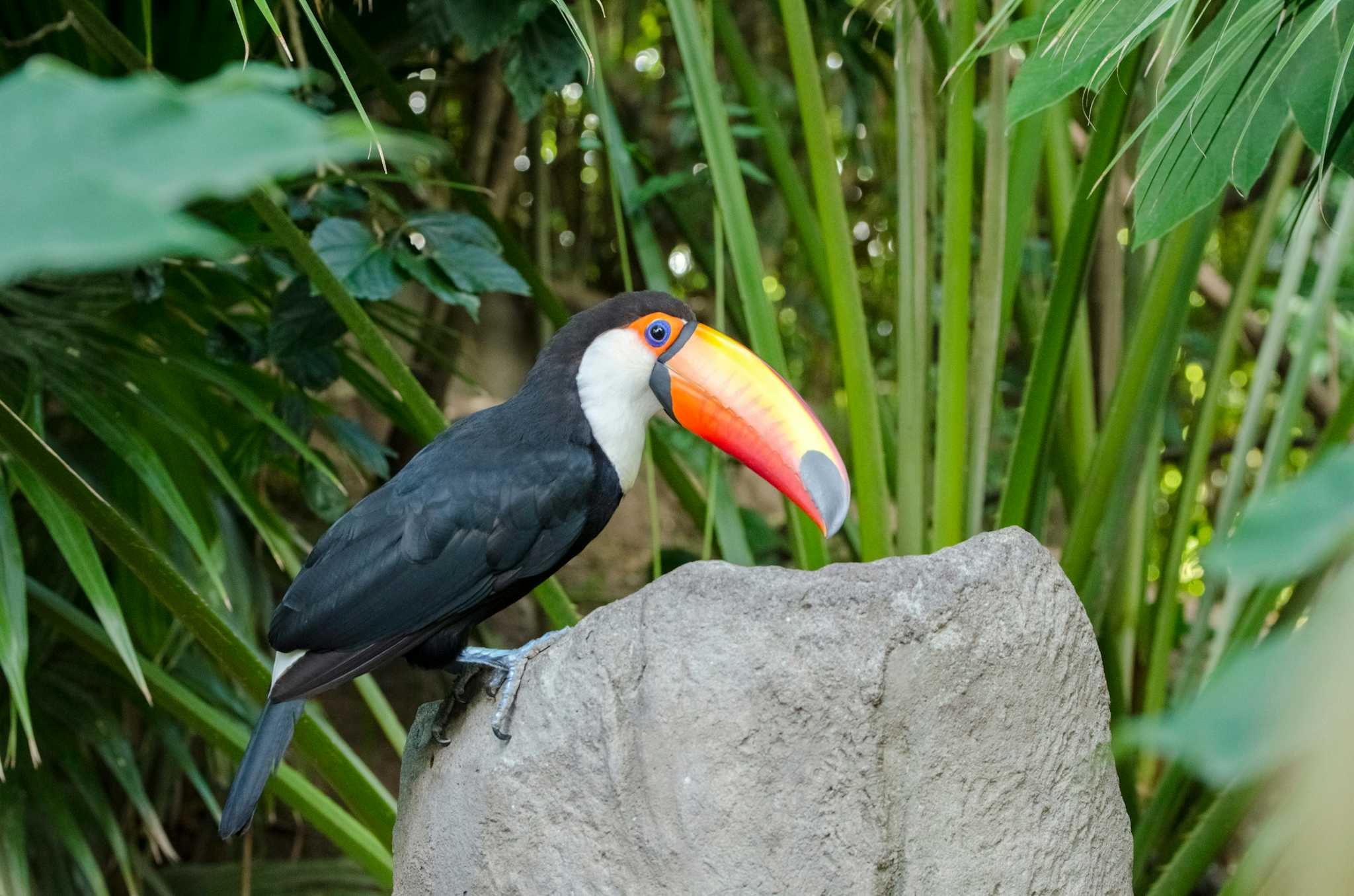 Temaiken Biopark