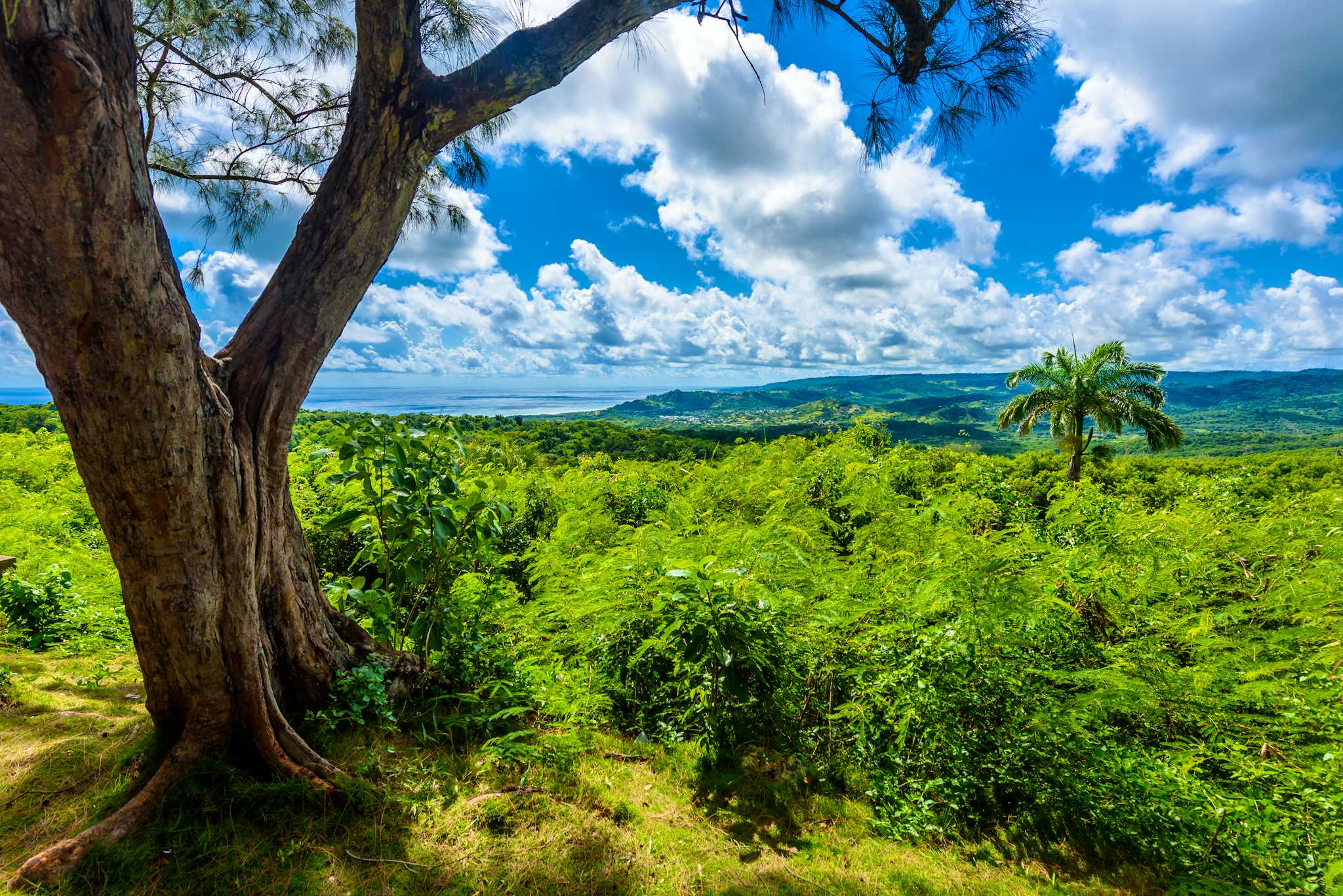 The Paradise Nature Park