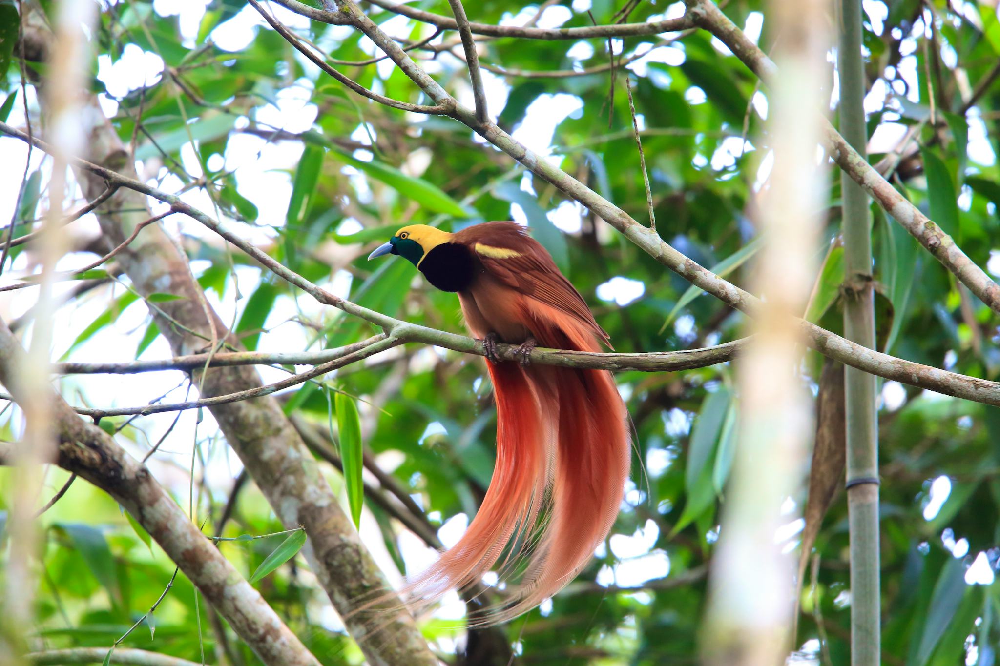 Varirata National Park