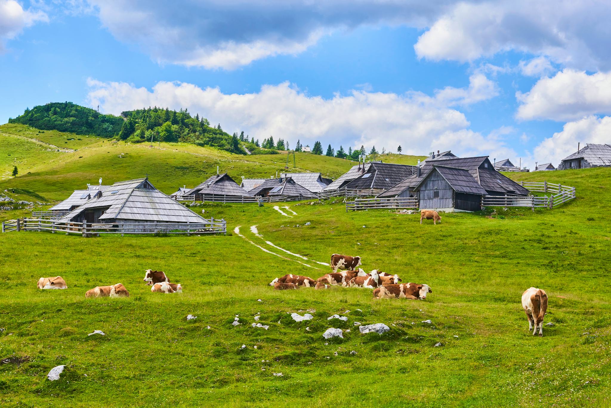 Ljubljana to Kamnik & Velika Planina: Private day trip