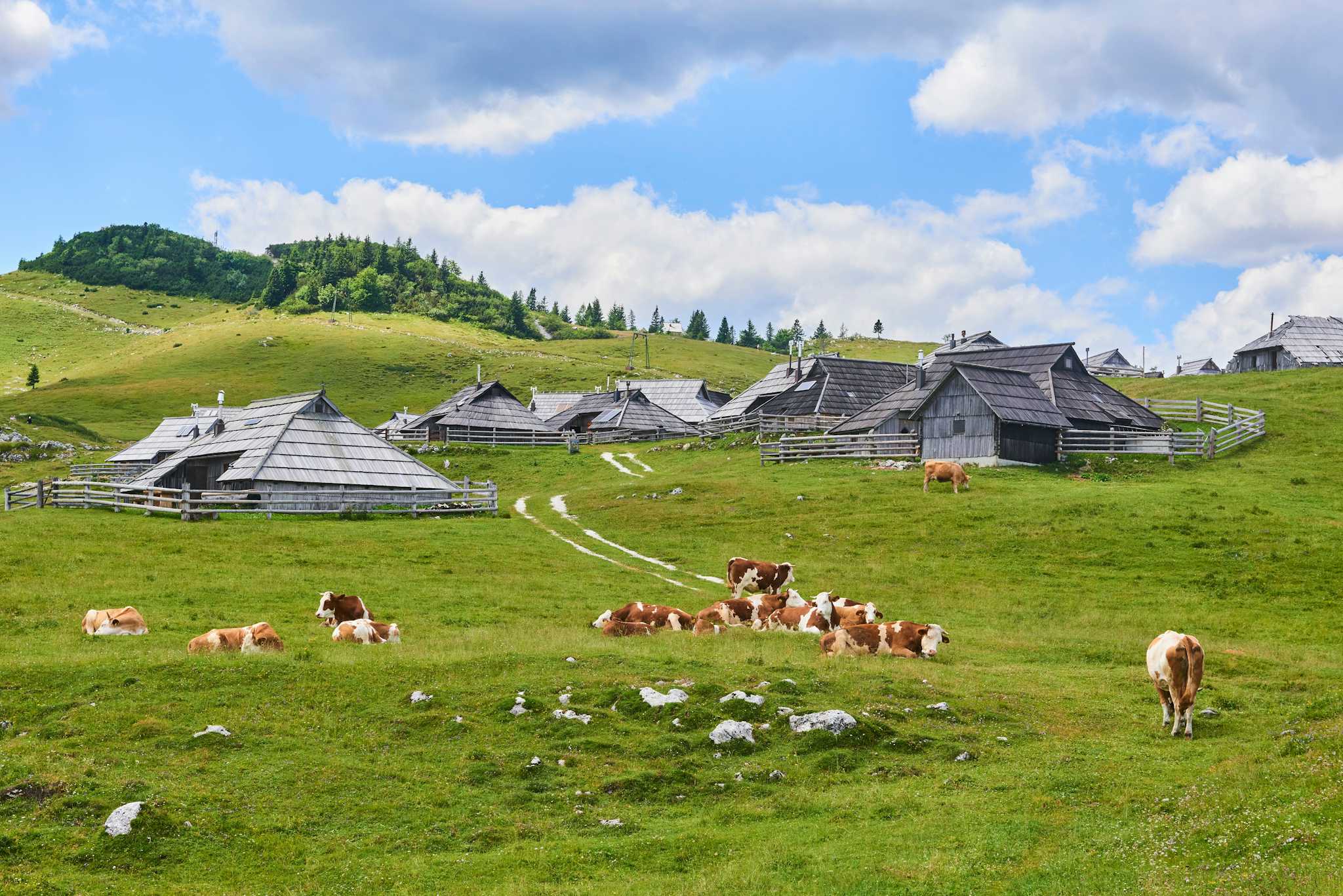 Velika Planina