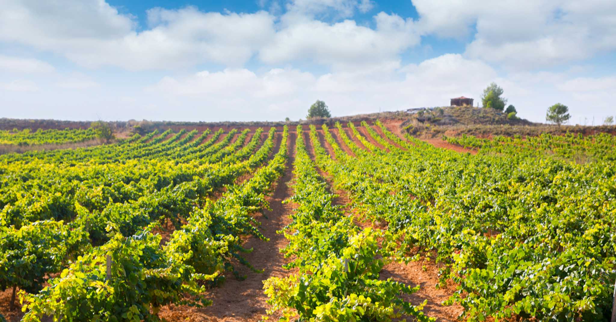 The Vera de Estenas Winery