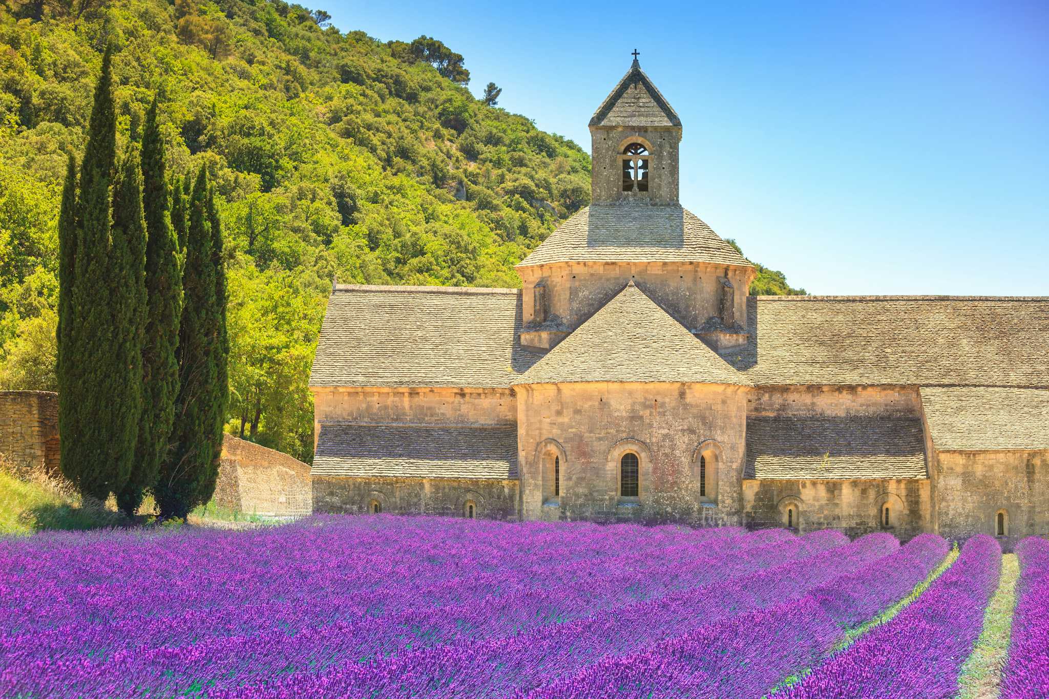 Abbey of Senanque