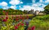 Adare