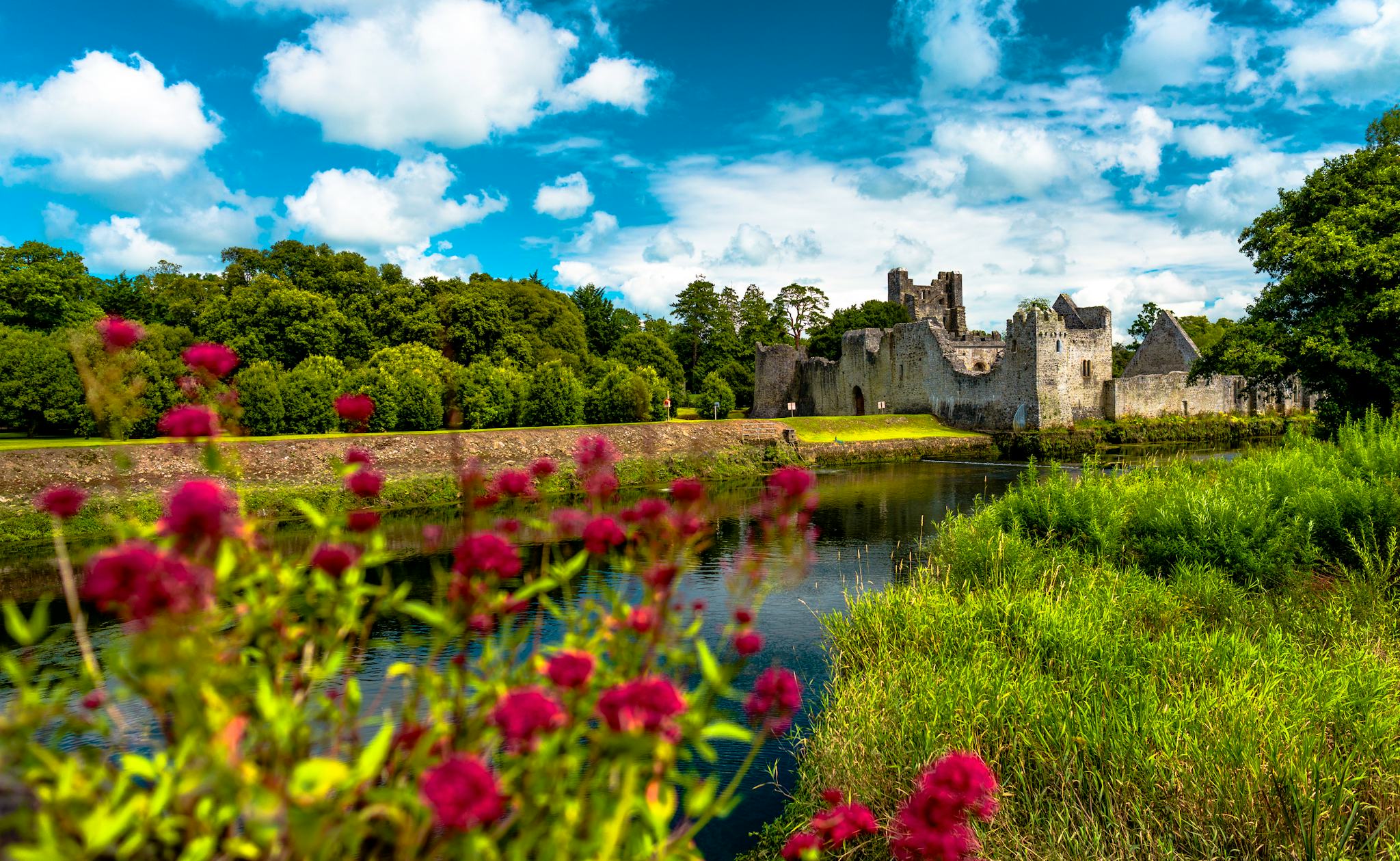 Belfast to Clonmacnoise and Adare: Private day trip