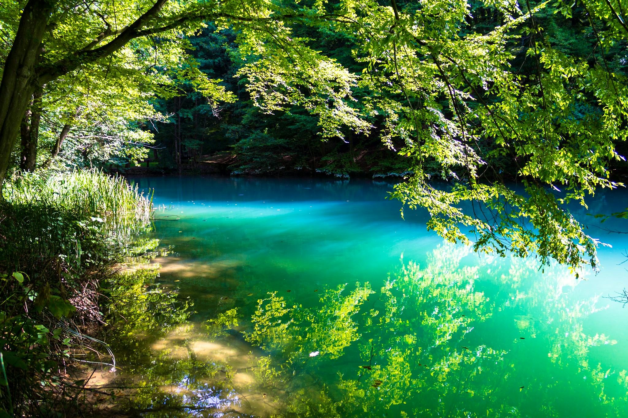 Aggtelek National Park