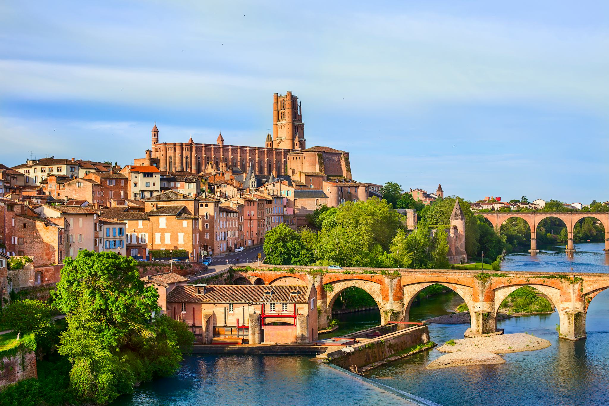 Toulouse to Albi: Private day trip