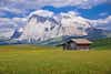 Alpe di Siusi