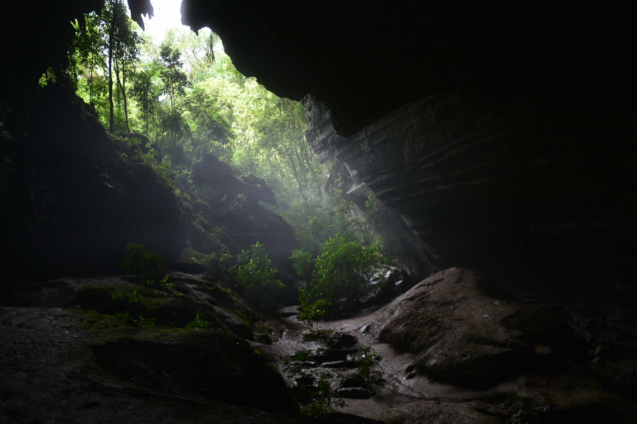 Alto Ribeira Tourist State Park