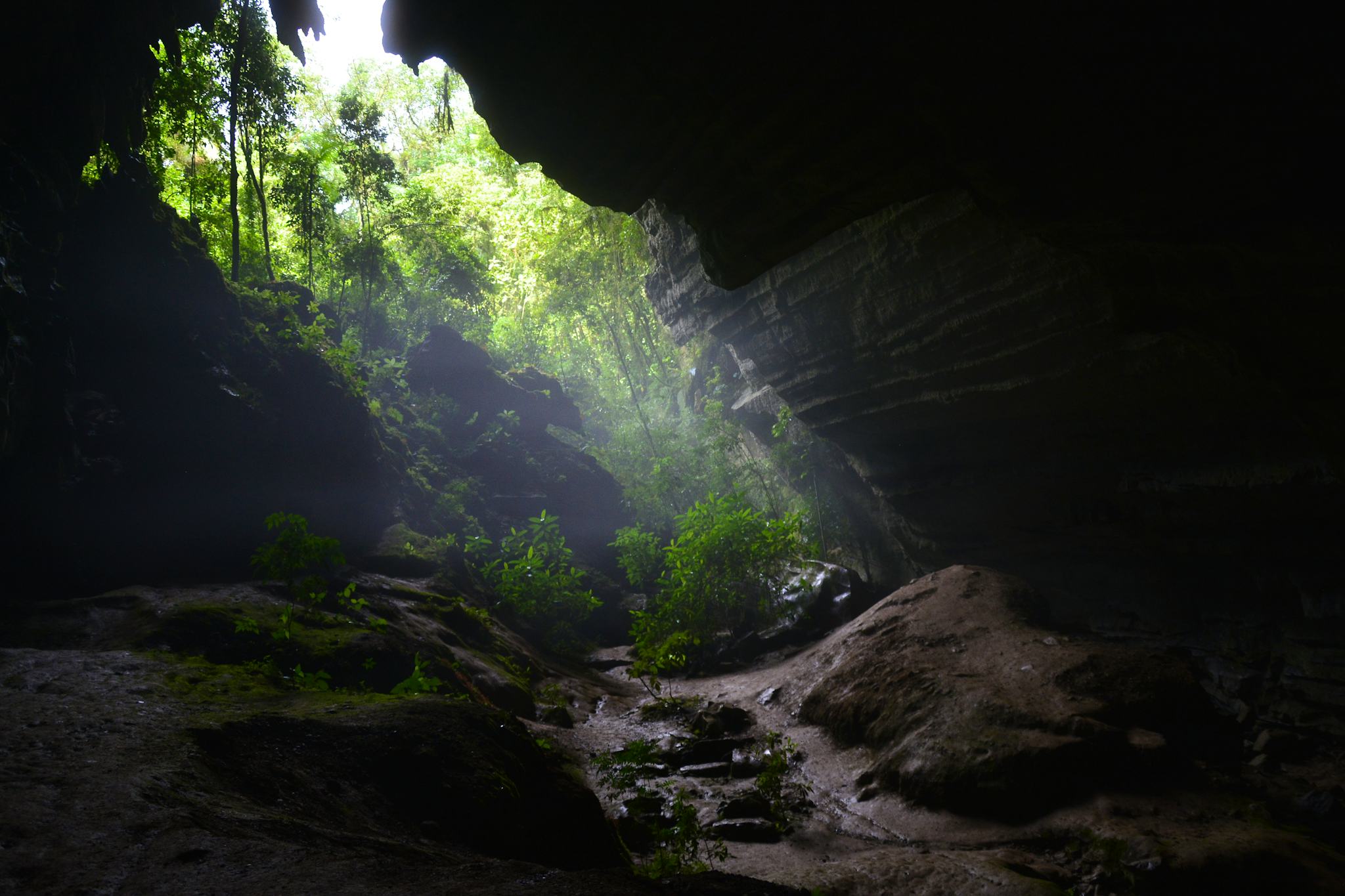 Alto Ribeira Tourist State Park