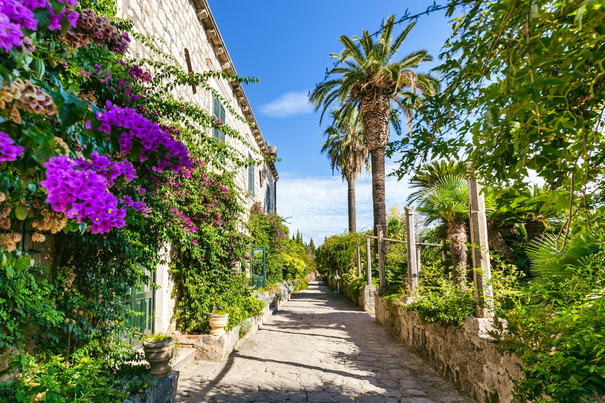 Dubrovnik to Trsteno and Trpanj: Private day trip