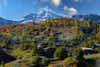 Artvin