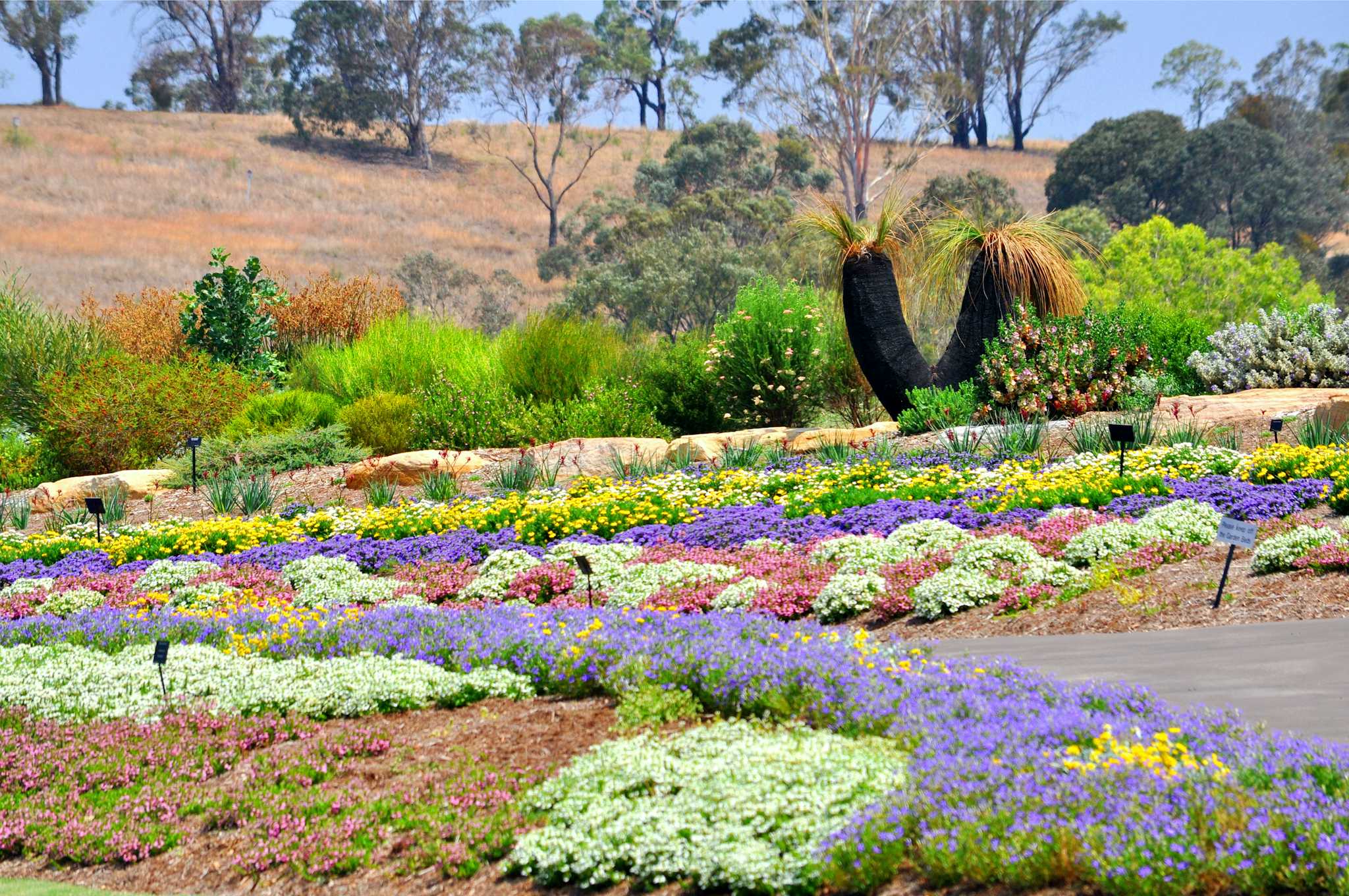 Australian Botanic Garden Mount Annan