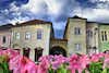 Baia Mare