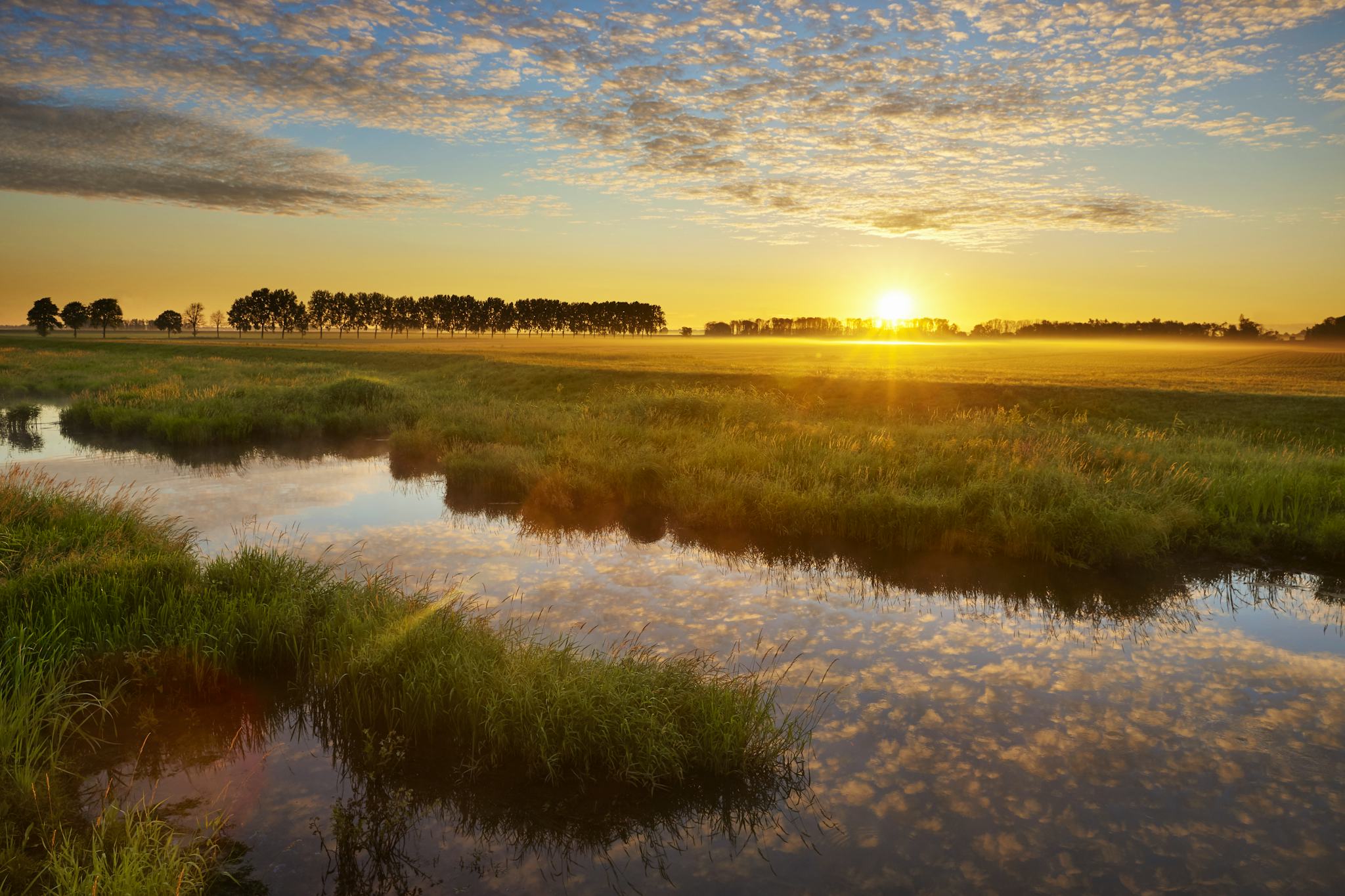 Parque Nacional y Museo Biesbosch