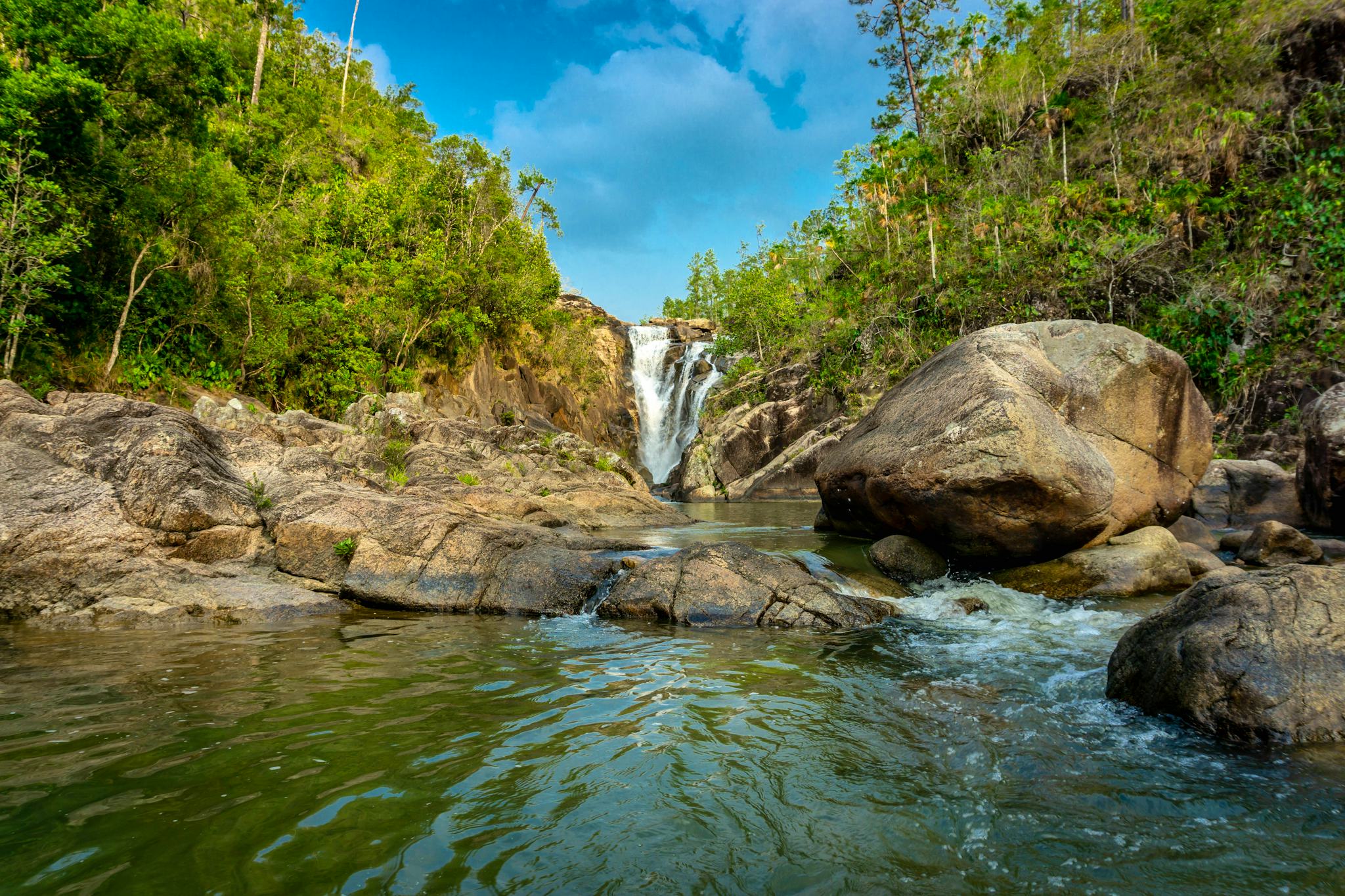 National Parks Trip from Belize City: Private day trip
