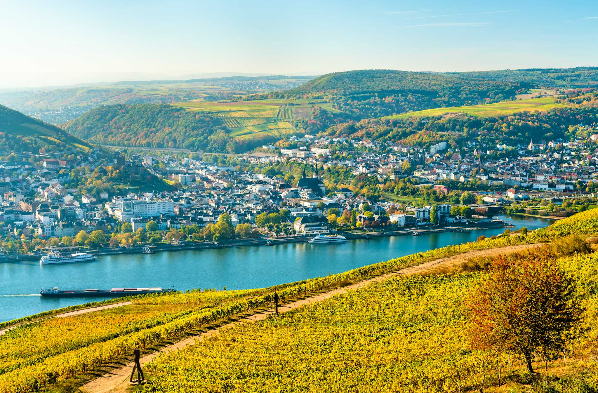 Bingen