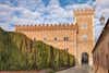 Bolgheri