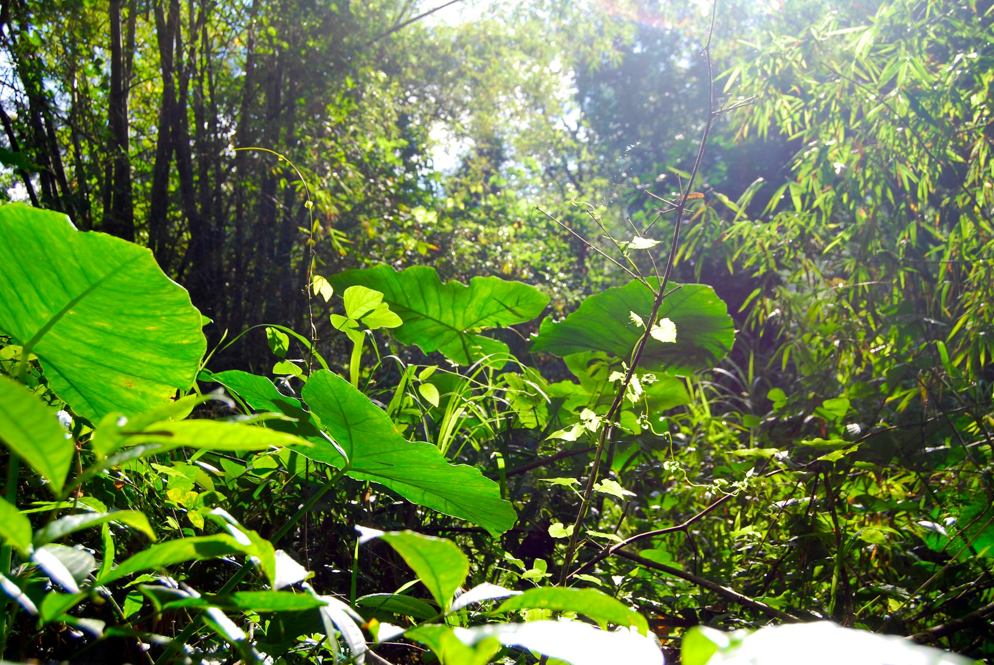 Bood Promontory Eco Park