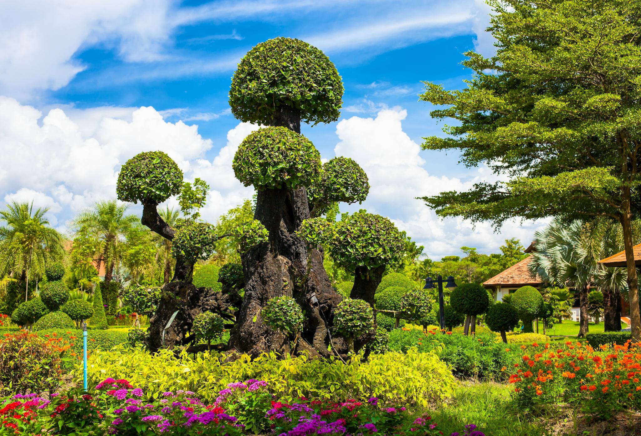 Chiang Mai to San Pa Pao and Lampang: Private day trip