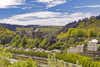 Bouillon