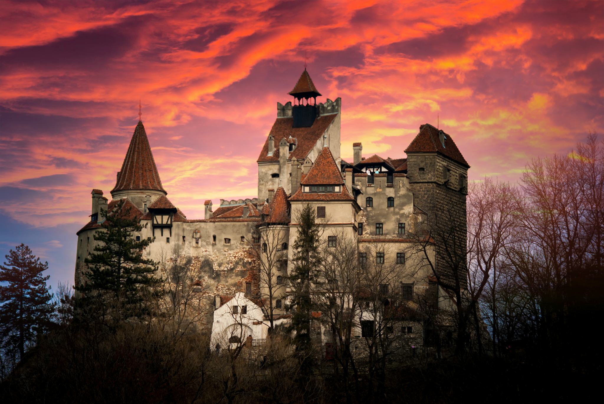Bucharest to Peles Castle and Bran Castle: Private day trip