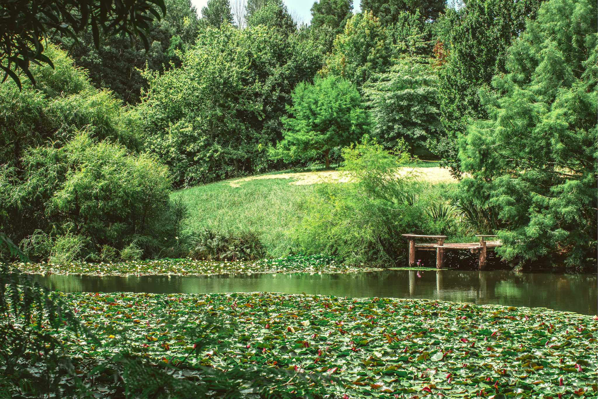 Sendero de Esculturas de Brick Bay