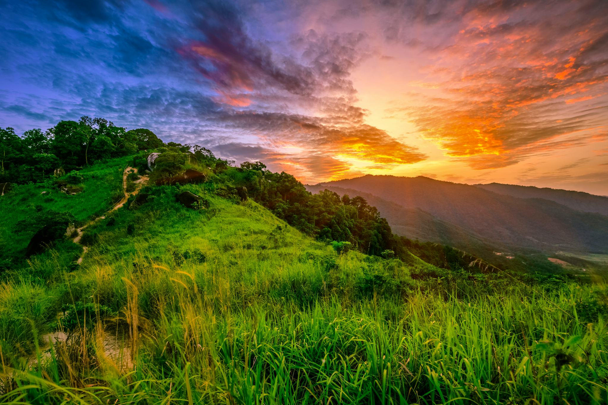 Colina Bukit Broga