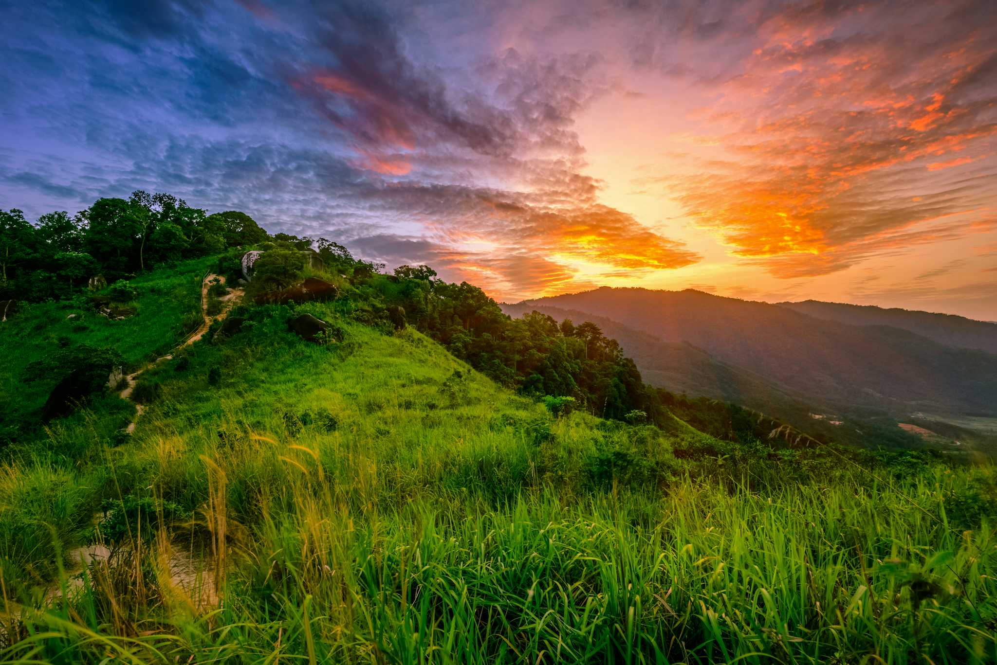 Bukit Broga Hill