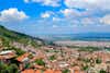 Bursa
