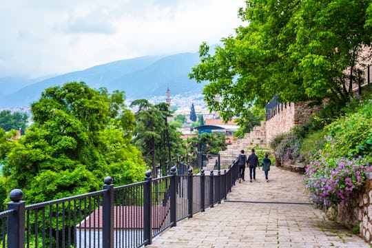 Bursa