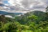 Bwindi Impenetrable National Park