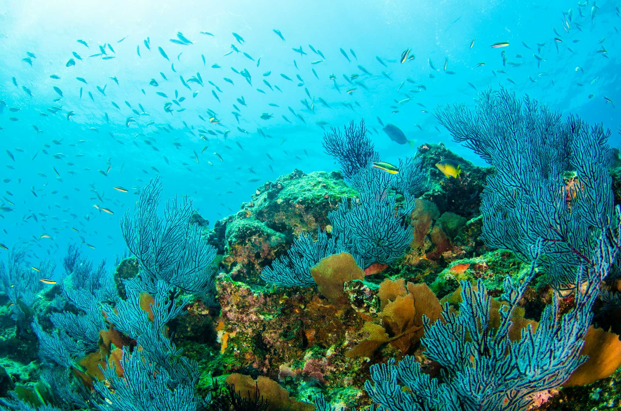 Cabo Pulmo National Park