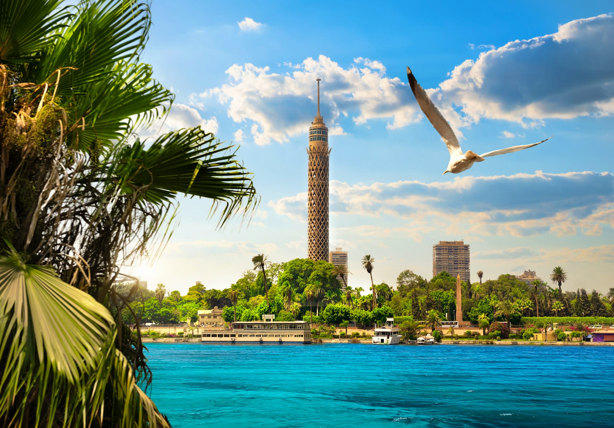 Cairo