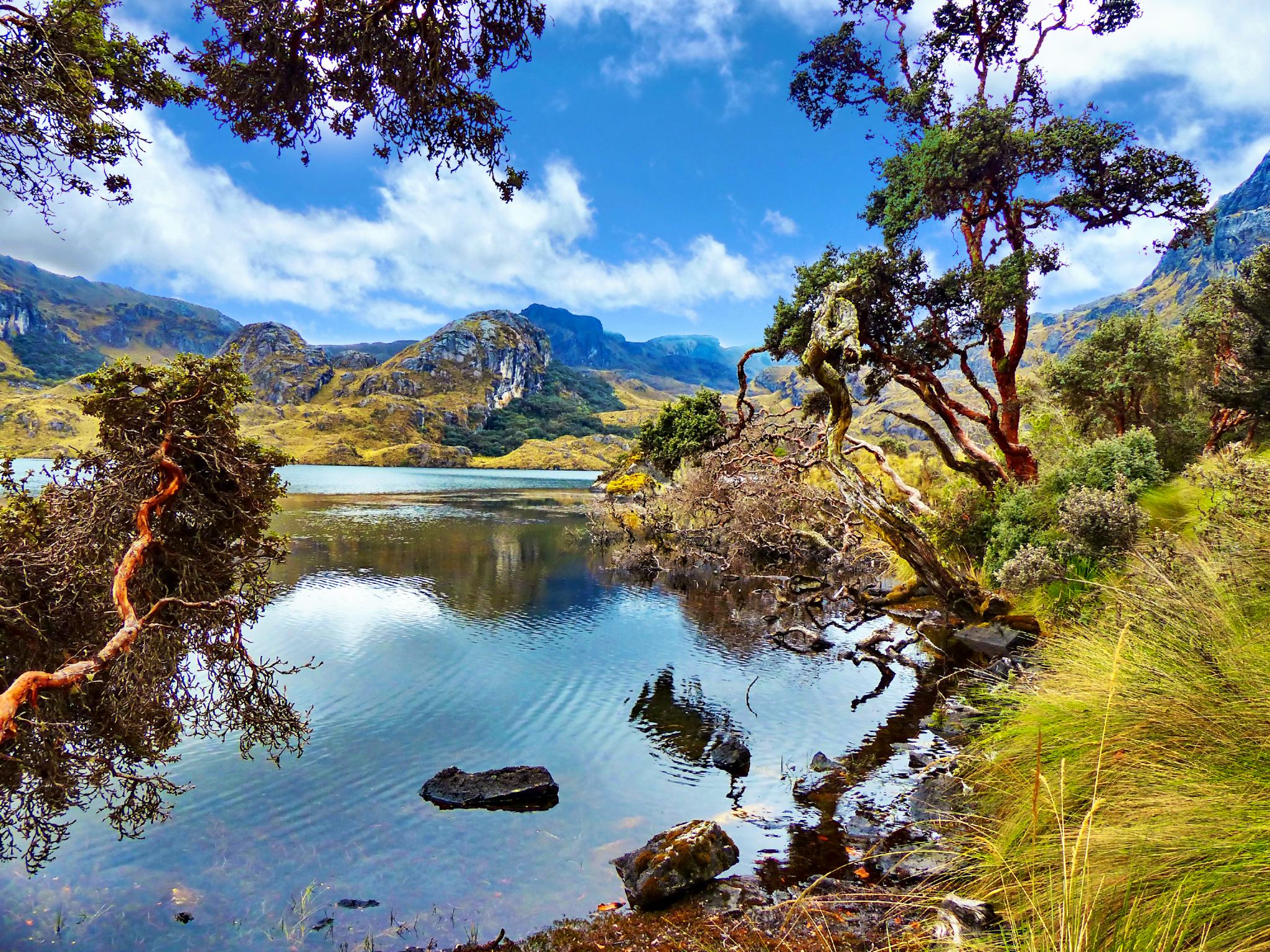 Parque Nacional Cajas