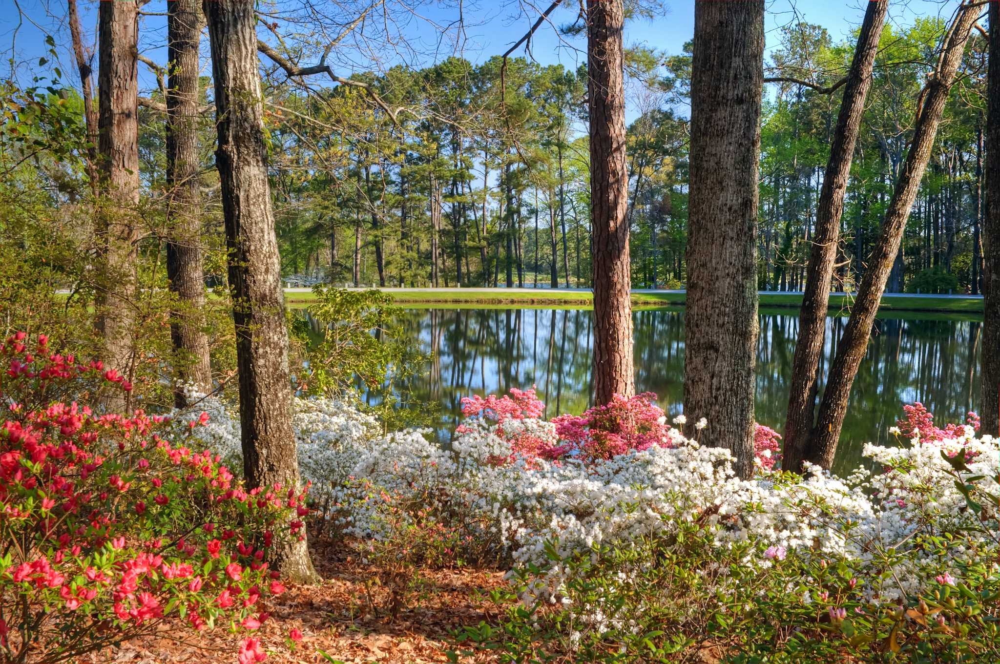 Callaway Gardens