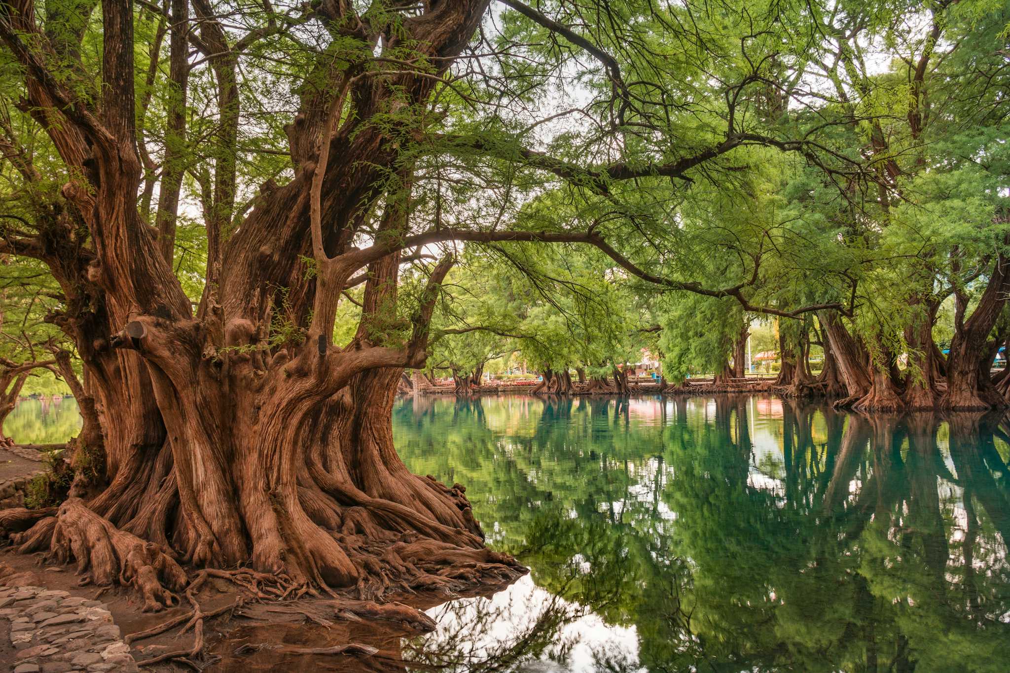 Camecuaro Lake