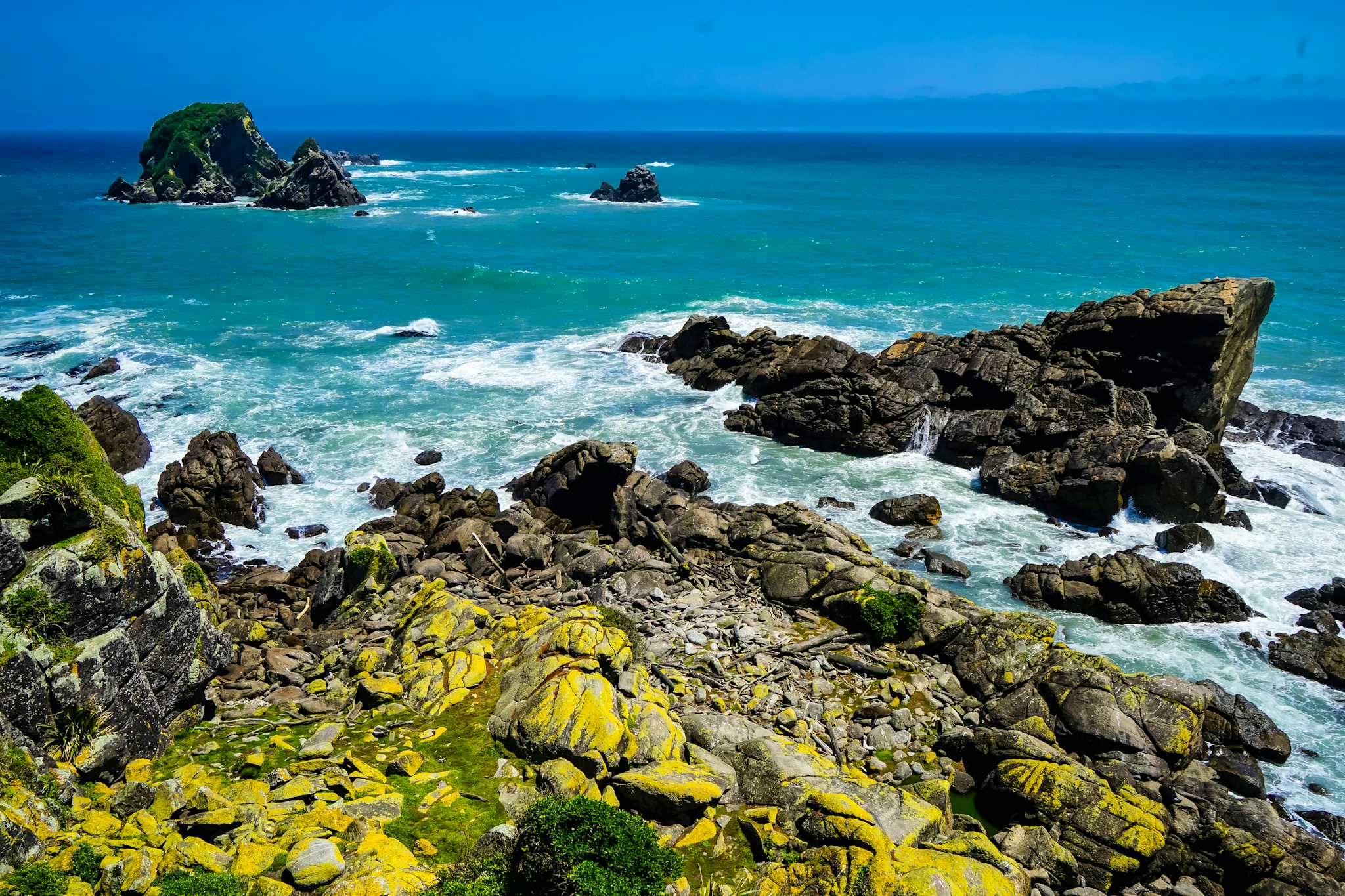 Cape Foulwind Seal Colony