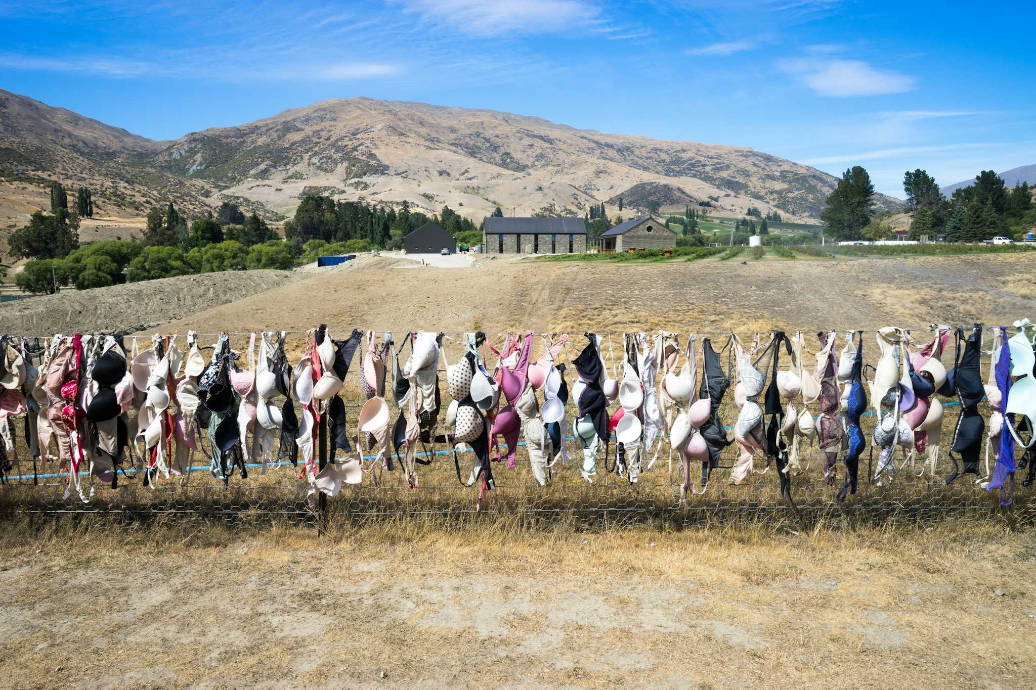 Cardrona Bra Fence