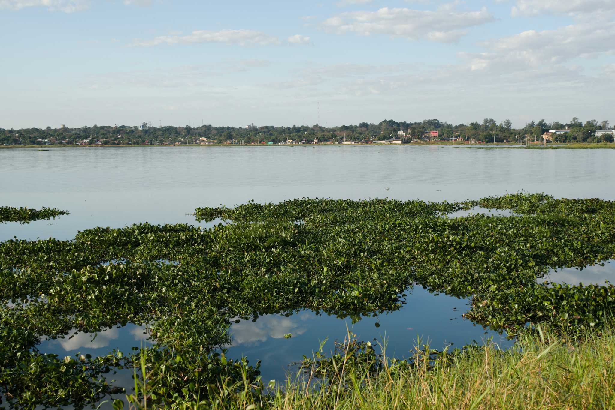 Carmen del Paraná