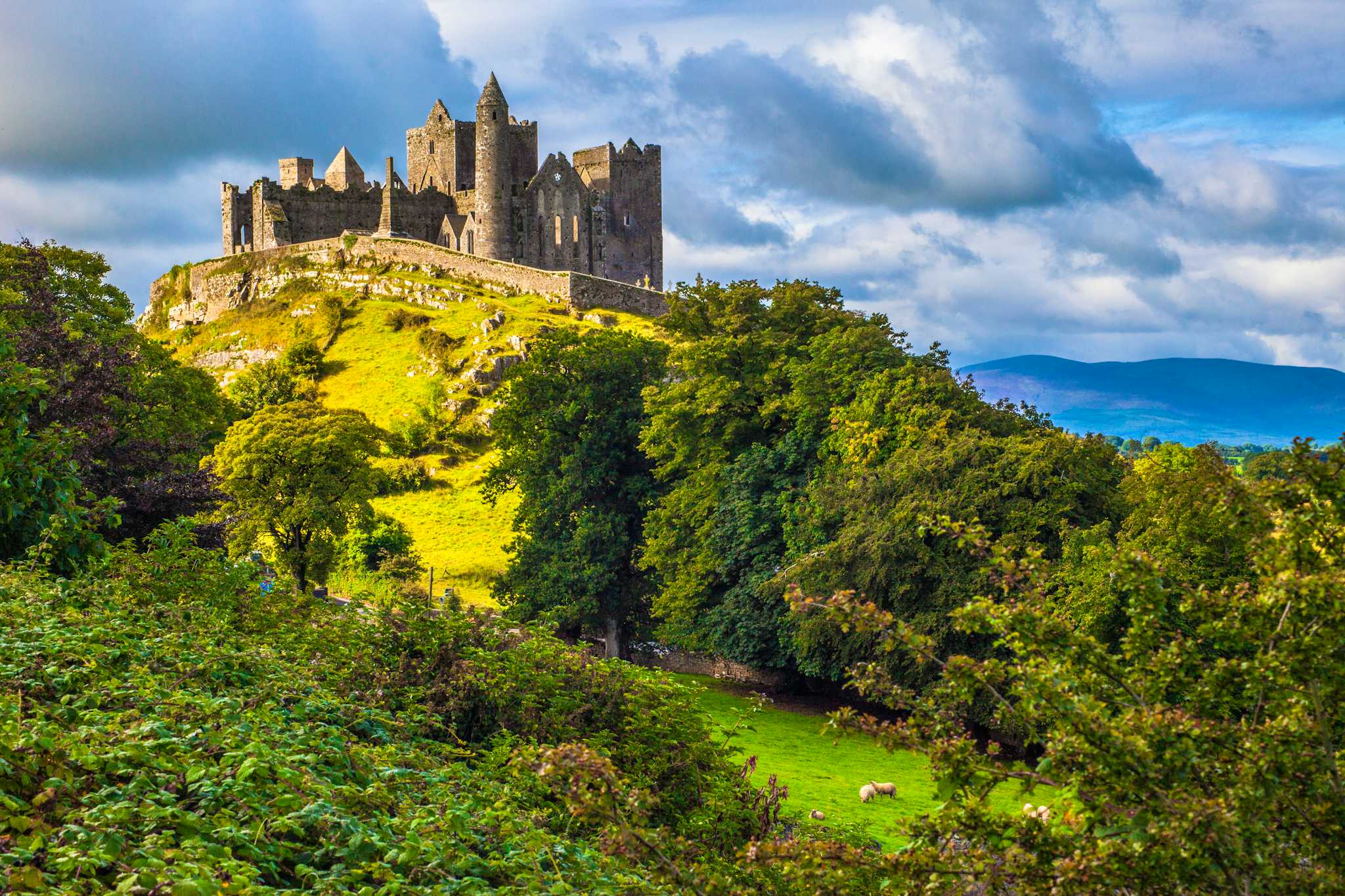 Cashel