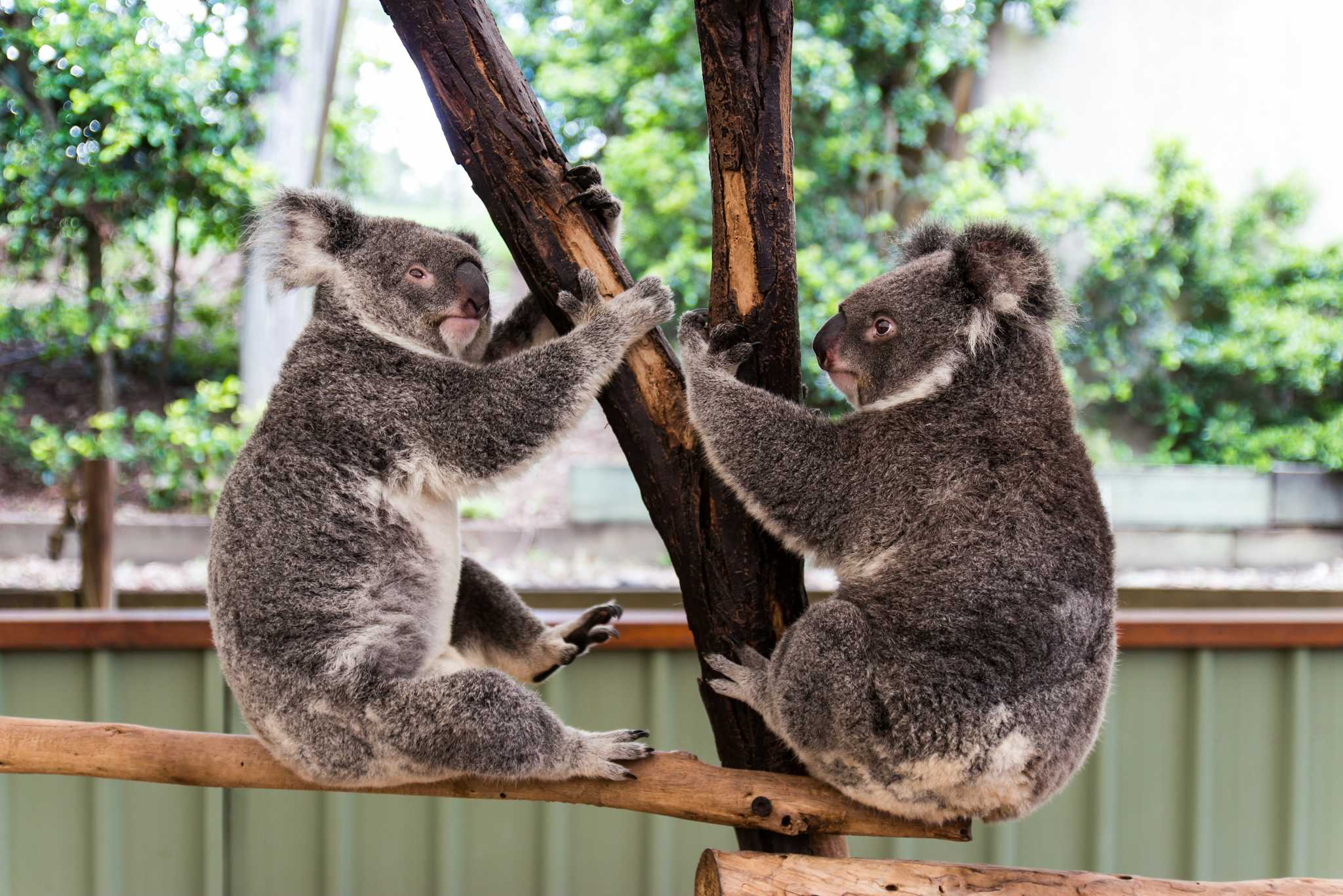 Caversham Wildlife Park