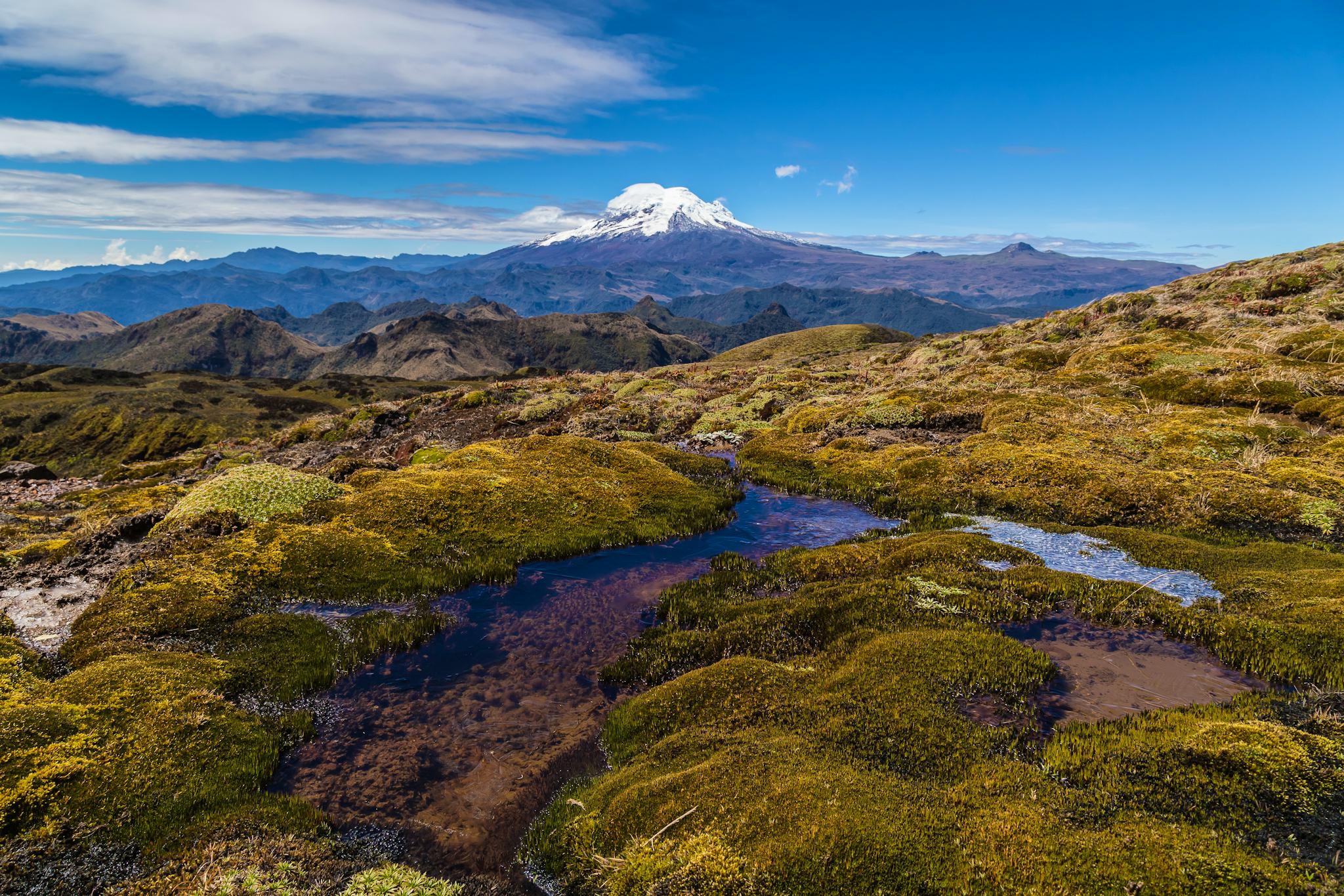 Cayambe Coca Ecological Reserve