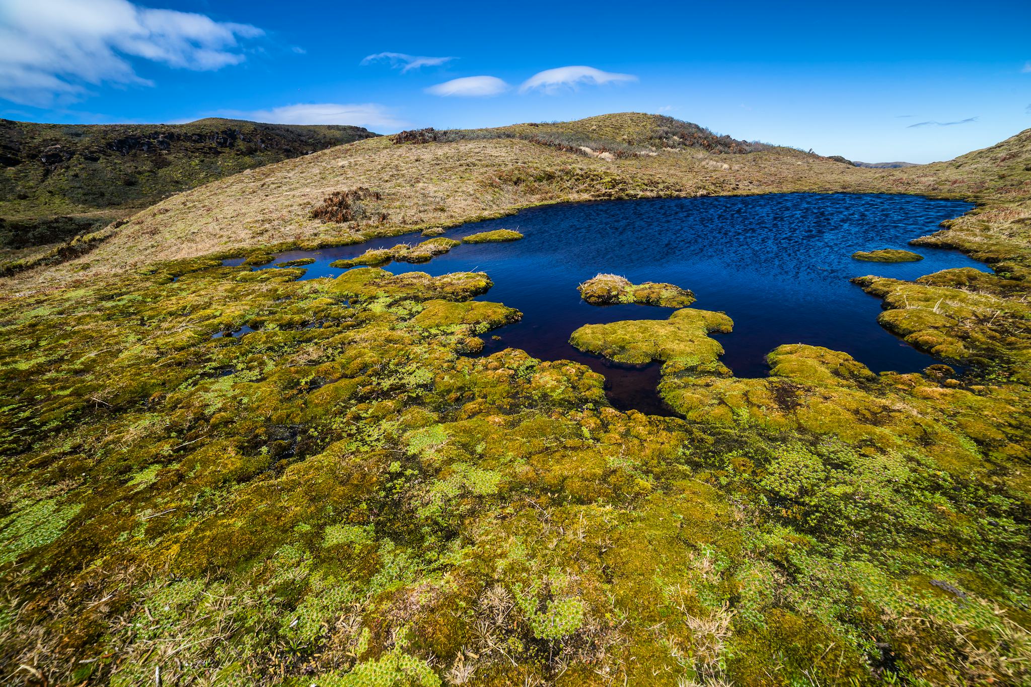 Cayambe Coca Ecological Reserve