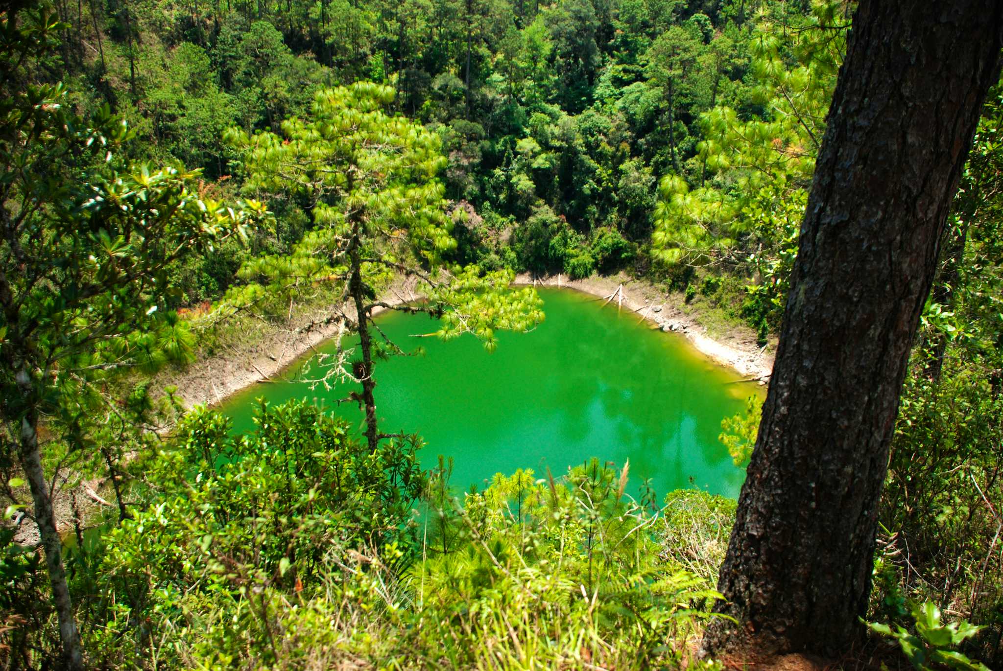 Cenote Miguel Colorado