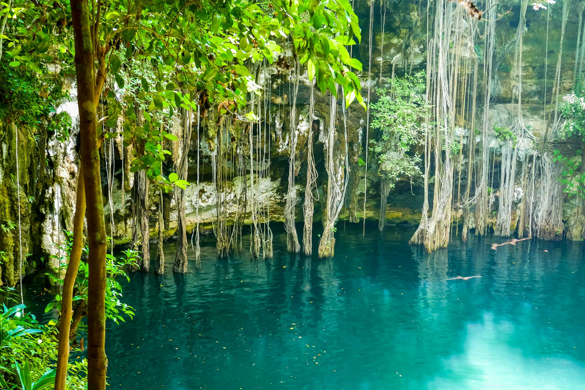 Cenote Yokdzonot