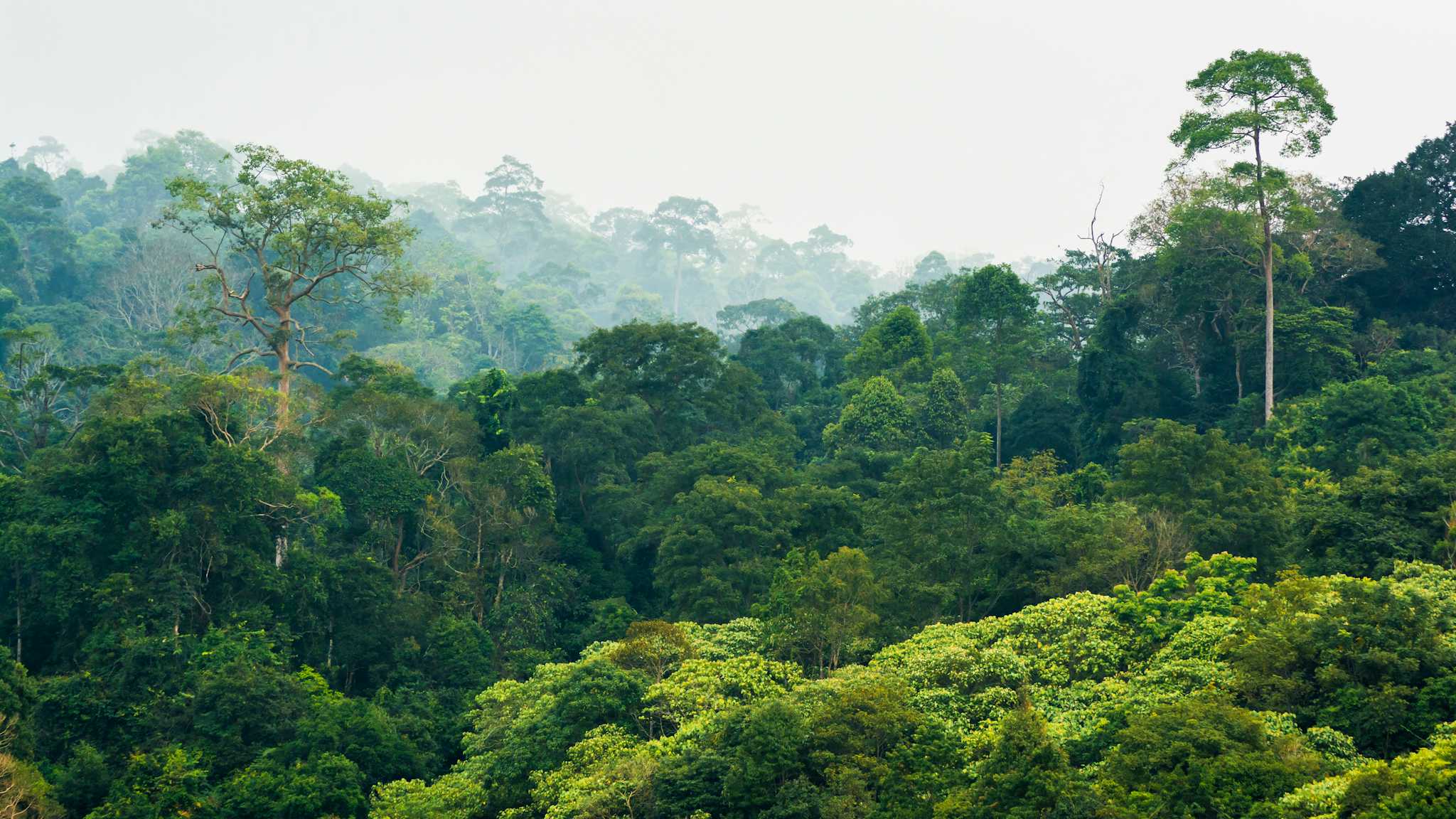 Cerro Cora National Park