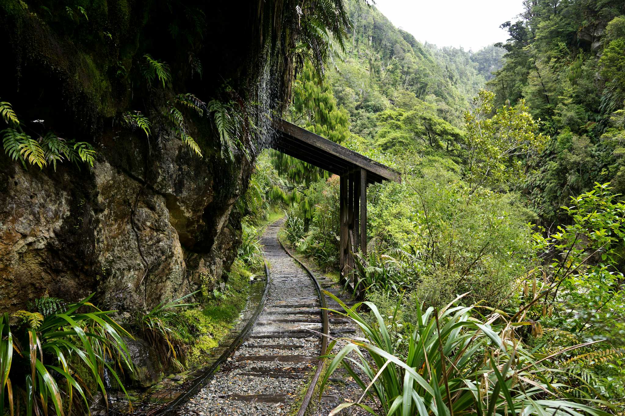 Charming Creek Walkway