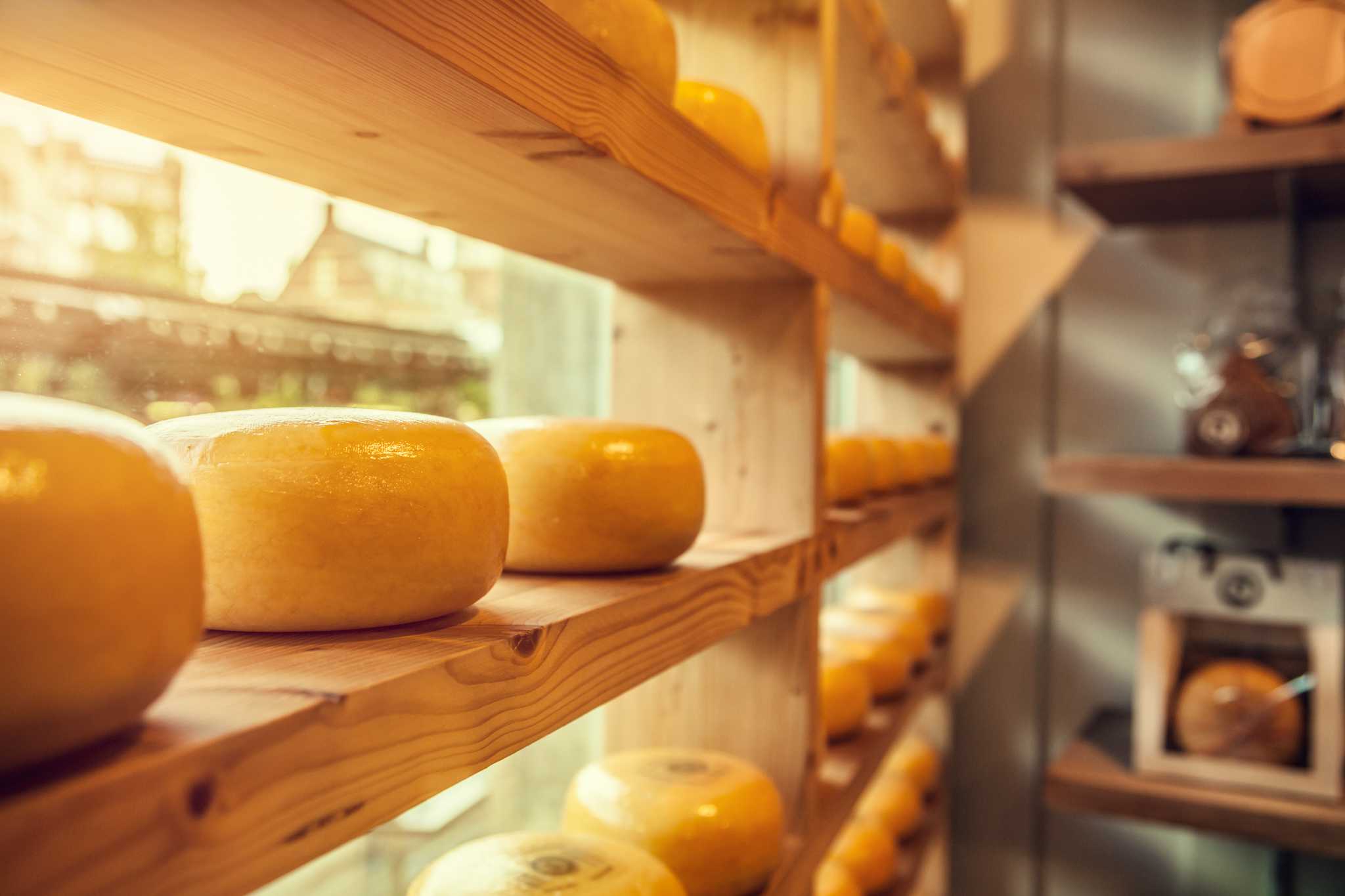 Cheese farm Palava